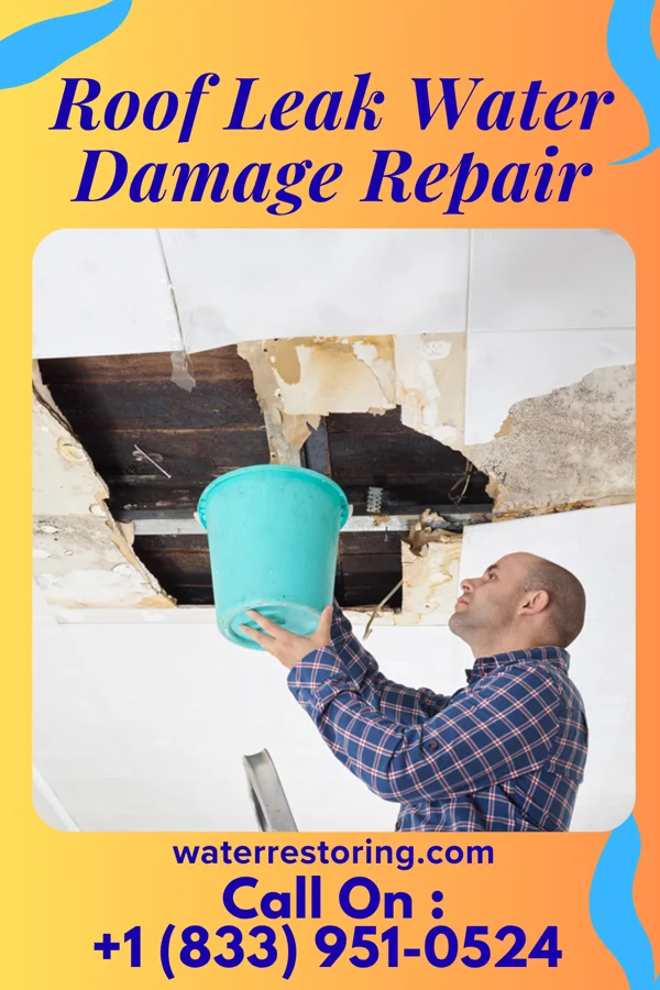 Roof Leak Water Damage Repair in Glade Spring, VA