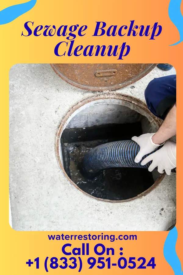 Sewage Backup Cleanup in Glade Spring, VA
