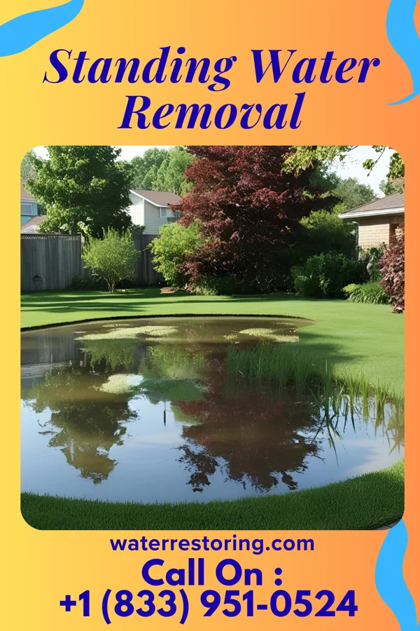 Standing Water Removal in Glade Spring, VA